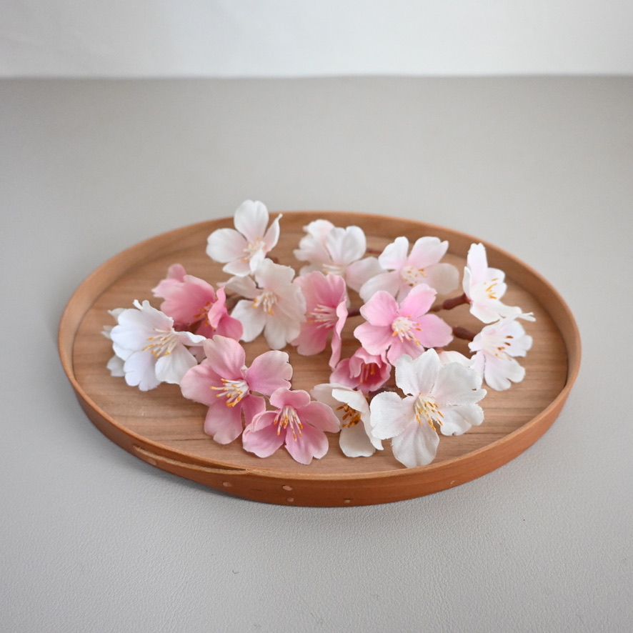 桜　ソメイヨシノ